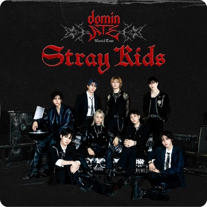 Members get a chance to see Stray Kids in concert.
